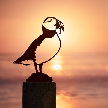 Puffin